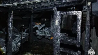 В Вологодской области произошел пожар в курятнике