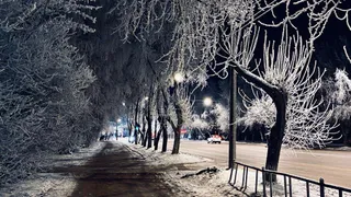 Погода Вологодской области: скоро в регион придет настоящая зима