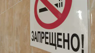 Масштабная кампания против вейпов и алкоголя даёт результаты в Вологодской области