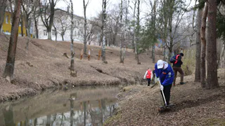 Вологодская область начала масштабную весеннюю уборку и благоустройство