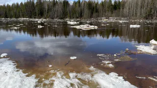 В Вологодской области в реке Сухоне утонул рыбак