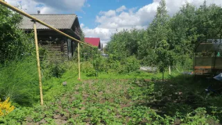 Сразу заберут участок: всем тем, кто владеет землей - новые требования с начала августа