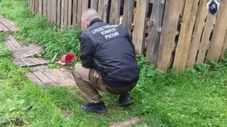 В Вологодской области задержали пенсионера, застрелившего соседа из обреза и скрывавшегося в лесу