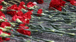 Вологжанка спустя 79 лет разыскала могилу деда, прошедшего через пекло Великой Отечественной войны