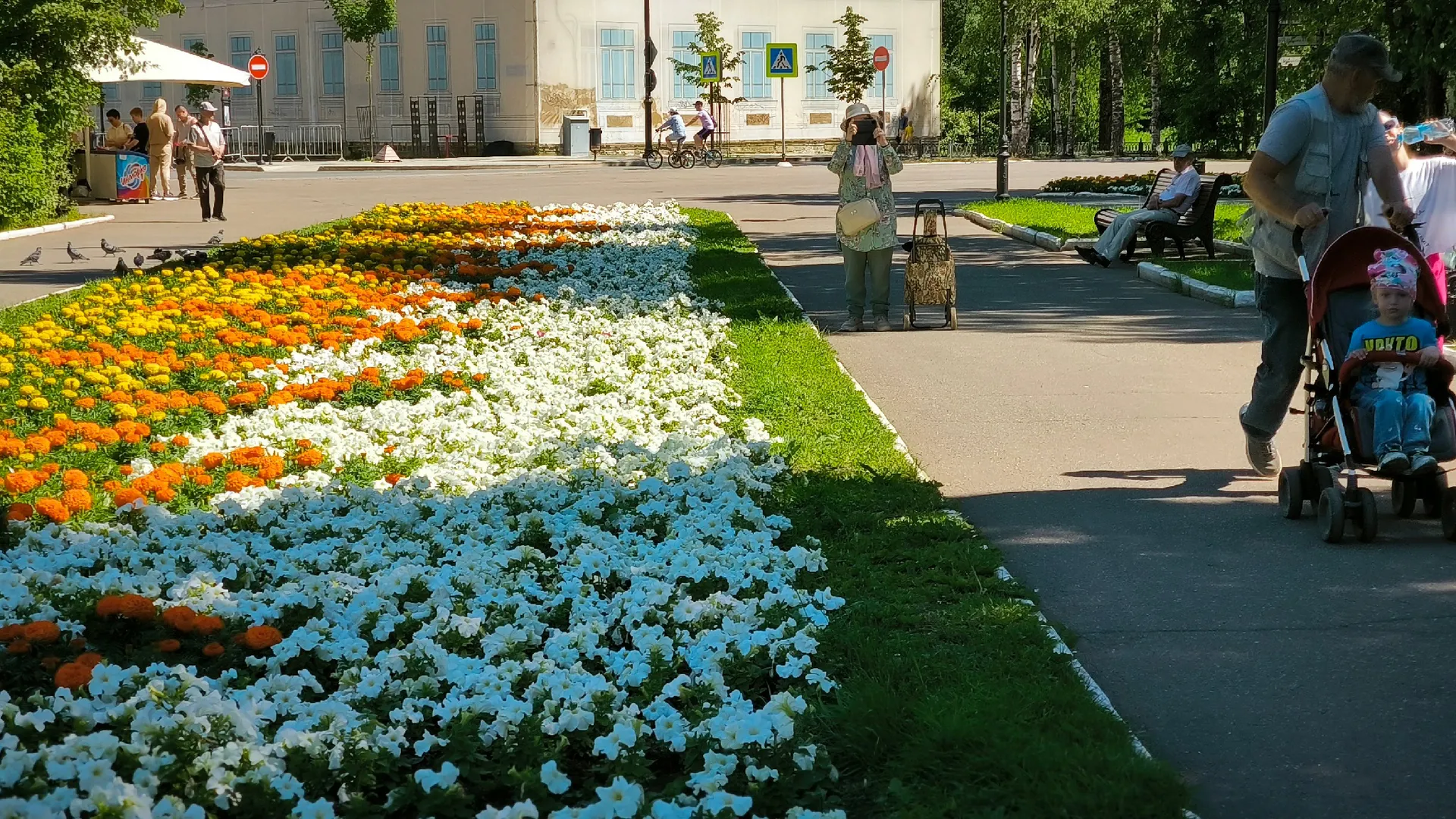 В эти выходные антициклон будет определять погодные условия Вологодчины
