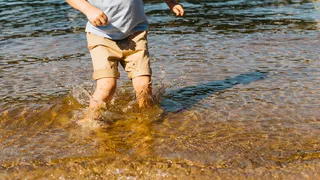 В воду не пускают, отпуск окончательно испорчен: на пляжах Анапы ввели полный запрет на купание в Черном море