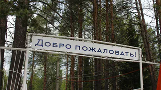 Вологодская область подготовит к лету 427 детских лагерей для более чем 41 тысячи школьников
