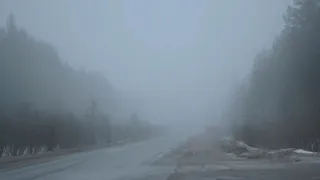В Вологодской области задержали мужчину за незаконную вырубку леса на 3,5 миллиона рублей