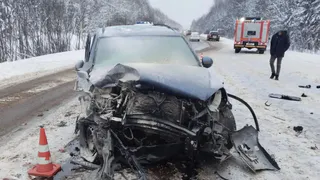 Двое детей госпитализированы после ДТП с гибелью водителя в Вологодской области
