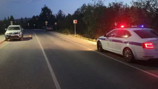 В Вологодской области иномарка сбила насмерть второклассника
