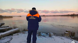 В Вологодской области за сутки произошла серия пожаров 
