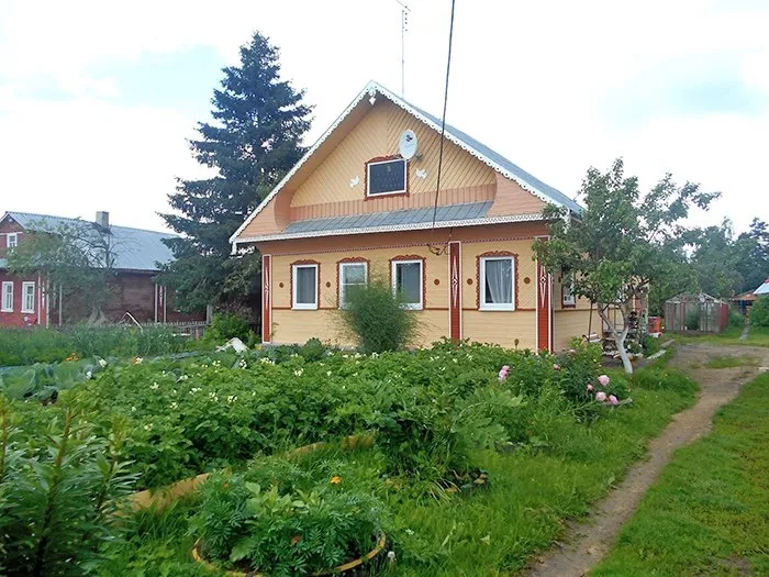 Опасное растение заметили вологжане на огородах
