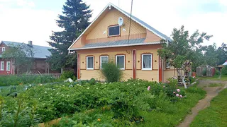 Опасное растение заметили вологжане на огородах