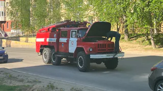 Житель Вологодской области поплатился за нарушение противопожарных правил