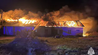 Пожар на ферме в Вологодской области: 216 коров остались целы