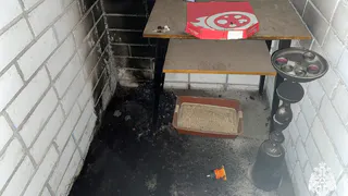 Кальянные угли в горшке спровоцировали пожар в многоэтажке Вологды