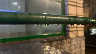 Погода в Вологодской области на 30 мая: синоптики прогнозируют +16 °C и кратковременные дожди на финише весны