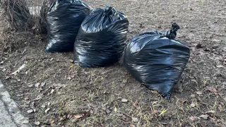 Жители Вологодской области собрали рекордное количество мусора на осенних субботниках