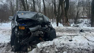 Ребенок и трое взрослых пострадали в Вологде во врезавшейся в дерево иномарке