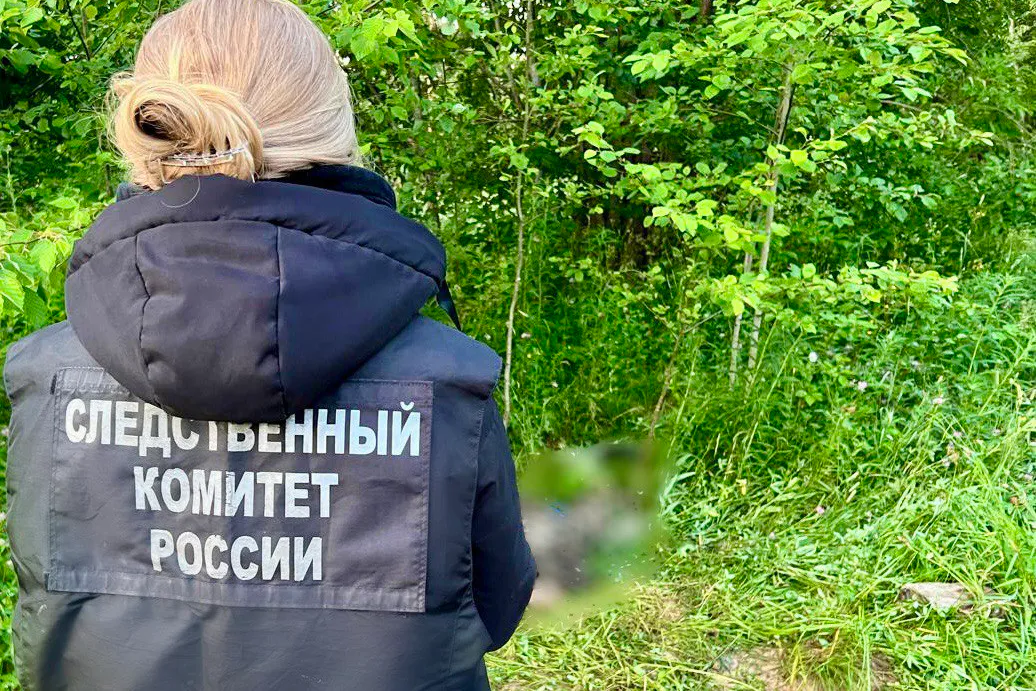 Жителя Вологодской области будут судить за непредумышленное убийство брата на охоте