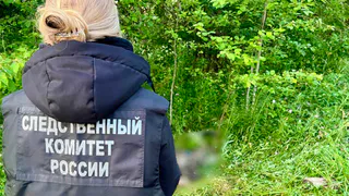 Жителя Вологодской области будут судить за непредумышленное убийство брата на охоте