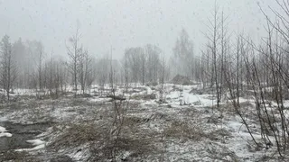 В Вологодской области синоптики прогнозируют на 26 апреля снегопады