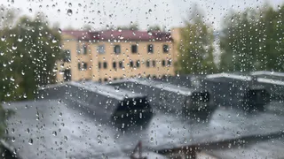 Рабочая неделя в Вологодской области начнётся с дождей