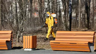 В Вологодских парках проходит обработка от клещей