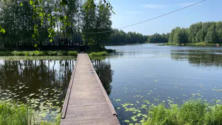 Вологодская область готовится к жаркому дню с грозами и туманами