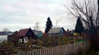 Теперь полный запрет: новое правило для всех, у кого есть дача и огород в 2024 году