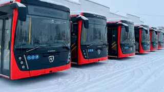 В Вологду поступила заключительная партия новых автобусов