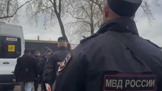 В Вологодской области семерых мигрантов ожидает депортация