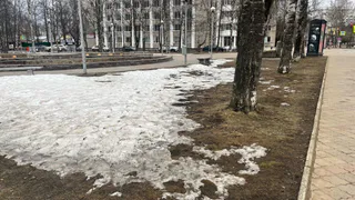 Аномалии будут испытывать жителей России: синоптики раскрыли точный прогноз на май