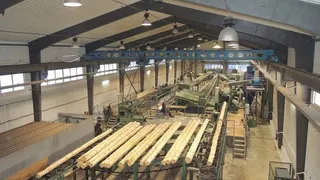 Экспорт вологодских лесоматериалов в Индию показал значительный рост