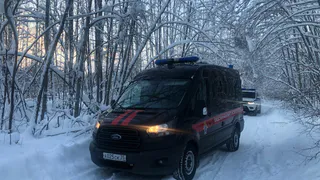 Губернатор Вологодской области поздравил сотрудников СКР с профессиональным праздником