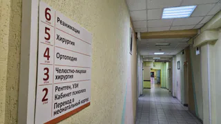 В Вологодской области вводят персональных паллиативных кураторов в каждой больнице