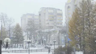 Прогноз погоды в Вологодской области: 3 марта в регионе прогнозируется мокрый снег и гололёд на дорогах