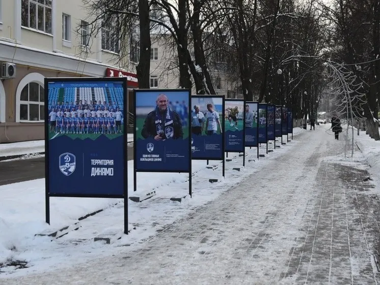 В Вологде открыли фотовыставку, посвященную успехам ФК «Динамо»