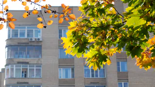 Снега не будет вовсе: Вильфанд поделился прогнозом для жителей Центральной России