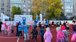 В Вологодской области открыли новую хоккейную площадку