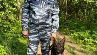 Служебная собака помогла полицейским найти пропавшего на Вологодчине 7-летнего мальчика