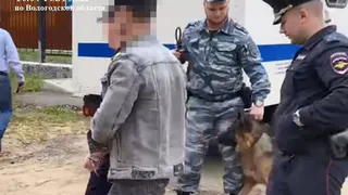 Жителя Вологодской области осудили на 10 лет за хранение оружия и взрывчатки