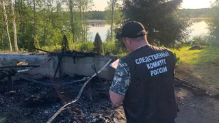 Приехавший к матери мужчина, погиб при пожаре после вечера с алкоголем и сигаретами в Вологодской области
