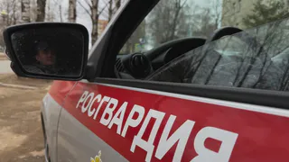Вологжанина осудили за пьяное сообщение о минировании в подъезде