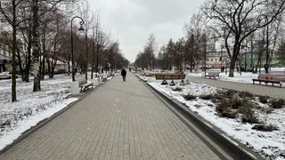 Погода Вологодской области: в регионе ожидается туман