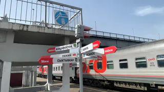 Ночью в поезде почувствовала чью-то руку у себя под подушкой, резко подскочила, а рядом ошарашенное лицо попутчицы