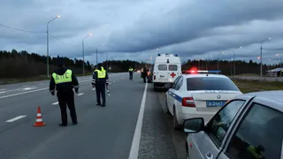 В Вологодской области за выходные выявили 43 нетрезвых водителя