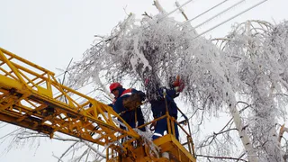 Более 14 тысяч вологжан остались без света из-за снегопада