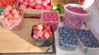 В Вологде пройдет масштабный всероссийский фестиваль фермерской продукции "Свое"