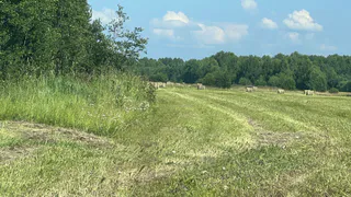 На Вологодчине стартовала посевная кампания